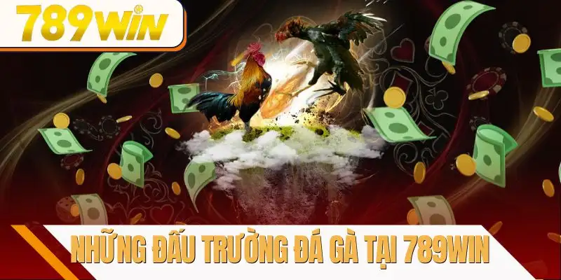 da-ga-789win-nhung-dau-truong